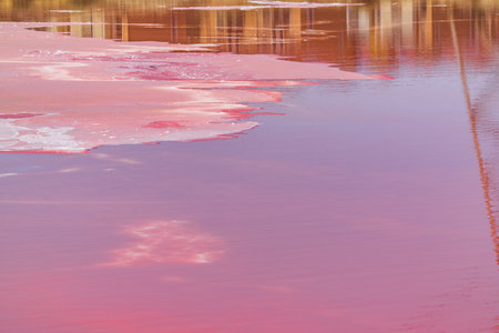 Pink water of the salt lakeの写真素材