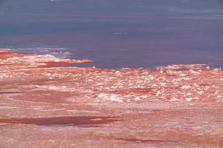 Pink water of the salt lakeの写真素材
