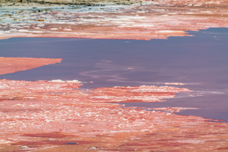 Pink water of the salt lakeの写真素材