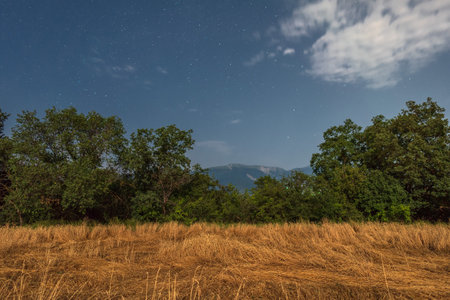 Night landscape with moon lightの写真素材
