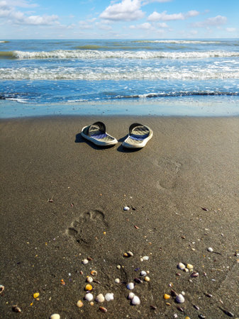 Flip flops on the beachの写真素材