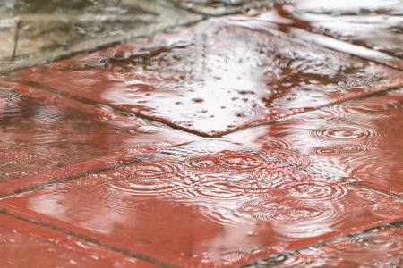 Drops and puddles during heavy rainの写真素材
