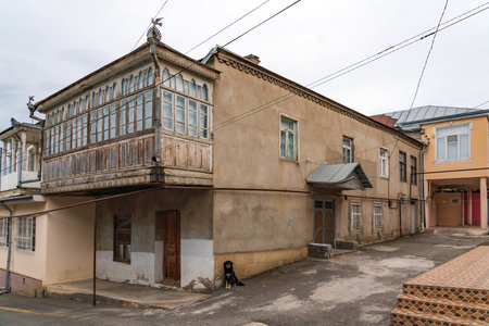 Lonely sad dog on the street of the old cityの写真素材