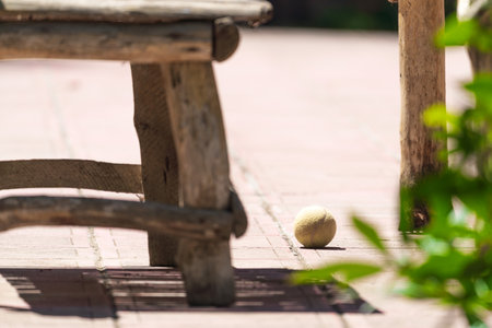 Tennis ball in the yard of a country houseの写真素材