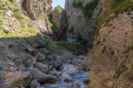 mountain river in the gorgeの写真素材