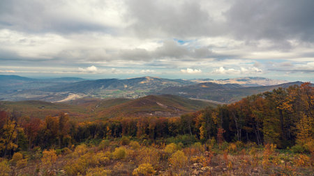 Yellow autumn forest on a mountain slopeの写真素材
