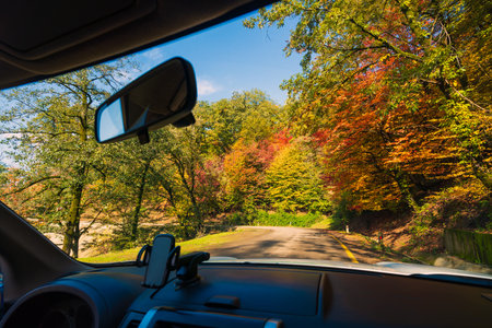 Asphalt road in colorful autumn forest. view from the windshieldの写真素材