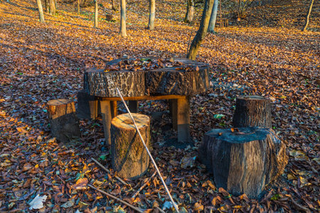 Table and chairs made of logs in the parkの写真素材