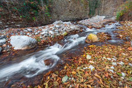 Fast mountain river in the forest in autumnの写真素材