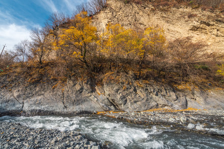 Fast mountain river in autumn seasonの写真素材