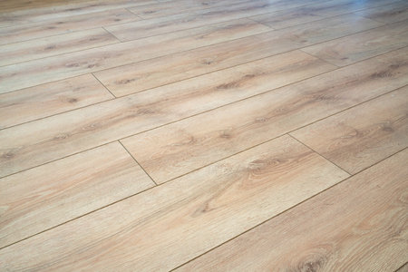 Laminate on the floor backgroundの写真素材
