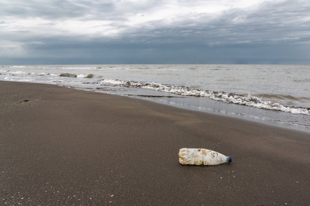 Plastic bottle on the seashore pollutes the environmentの写真素材