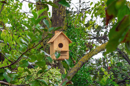 Birdhouse on a tree in the gardenの写真素材