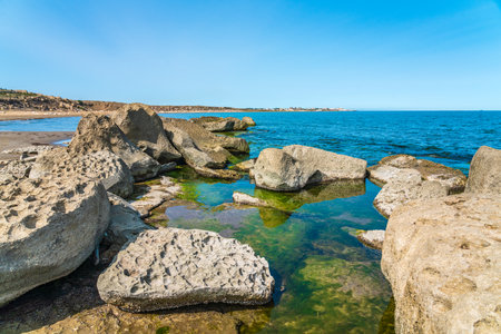 Rocky seashore covered with green algaeの写真素材