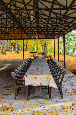 Picnic area in yellow autumn forestの写真素材