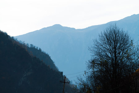 Silhouette of a bare tree against the mountains backgroundの写真素材