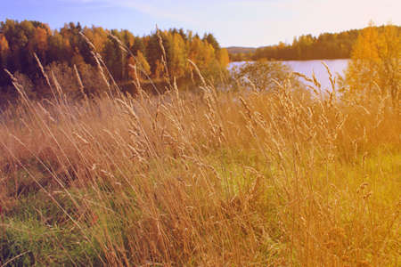 autumnの写真素材