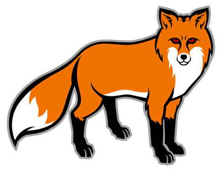 red fox illustrationのイラスト素材