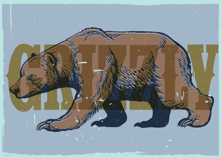 vintage illustration of grizzly bearのイラスト素材