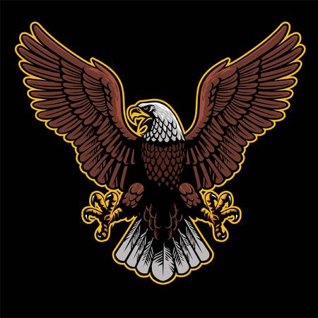 bald eagle spreading the wingsのイラスト素材