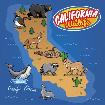 california wildlife mapのイラスト素材