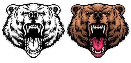 head of brown grizzly bear mascot roaringのイラスト素材