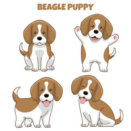 vector set of beagle dog puppy in cartoon styleのイラスト素材