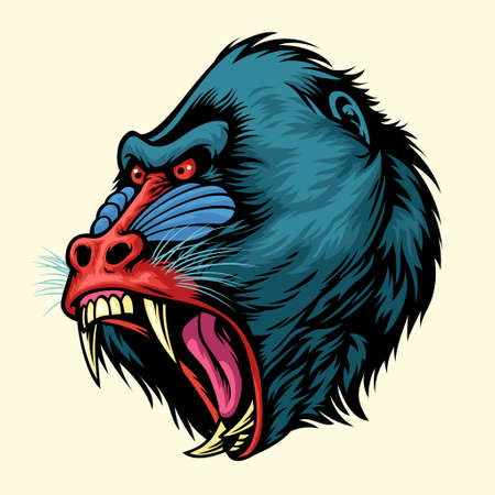 vector of Angry hand drawn of mandrill monkey headのイラスト素材