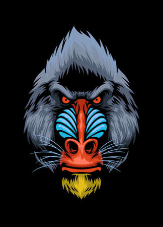 vector of Hand Drawn style of Mandrill monkey headのイラスト素材