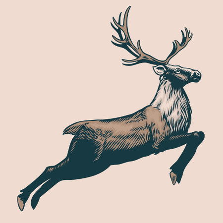 vector of Hand Drawn of Running Reindeerのイラスト素材