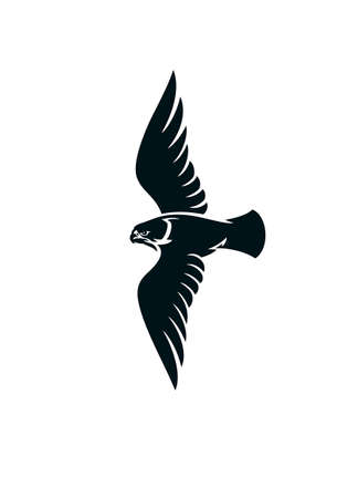Simple Logo Style of Hawk Birdのイラスト素材
