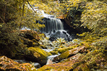 waterfall in National park,Thailandの写真素材