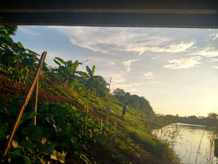 sunset farm river Nan at Nan ,Thailandのeditorial素材