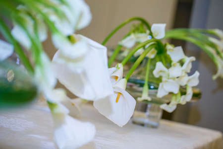 Beautiful weddingの写真素材