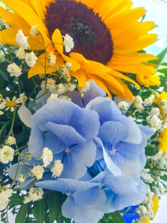 Wedding bouquet of bride - colorful flowers pink, white roses and blue freesia and hydrangea at wedding on natureの写真素材