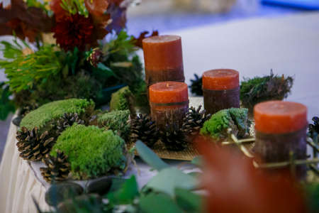 Cones on a stump with moss and decoratedの写真素材