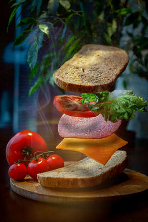 smoked salmon starter floating on bokeh background close-up delicious sandwichの写真素材