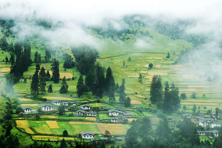 Landscape of misty fields and woods in a mountain village の写真素材