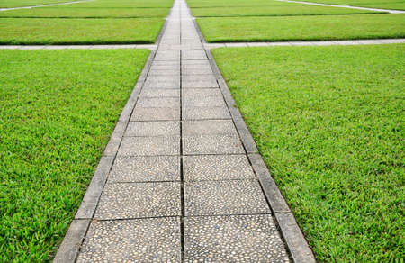 Green meadow in a park