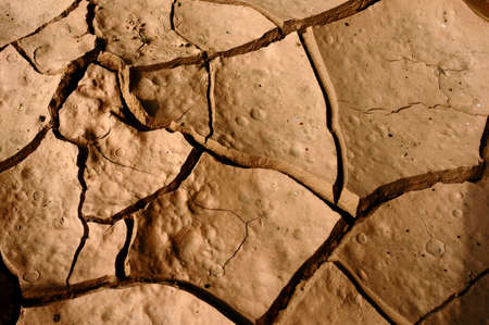 Closeup of dried and cracked earthの写真素材