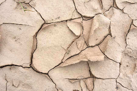 Closeup of dried and cracked earthの写真素材