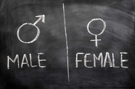 Male and female signs drawn on a blackboardの写真素材