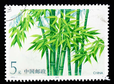 CHINA - CIRCA 1993: A Stamp printed in China shows green Mao Bamboo, circa 1993の写真素材