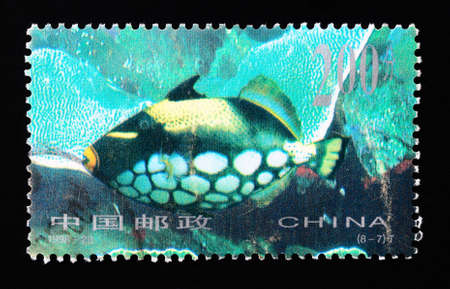 CHINA - CIRCA 1998: A Stamp printed in China shows coral reef fish , circa 1998