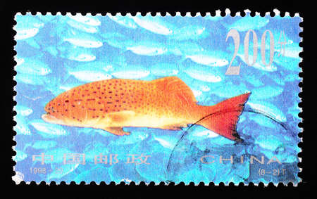 CHINA - CIRCA 1998: A Stamp printed in China shows coral reef fish , circa 1998