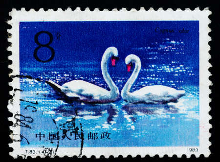 A Stamp printed in China shows swan, 1983のeditorial素材