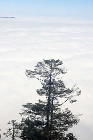 Landscape view on the top of mountainsの写真素材