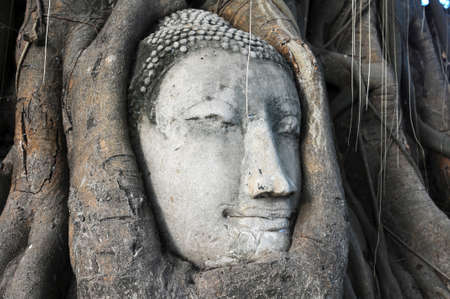 Head of Sandstone Buddha surrounded in The Tree Roots at Wat Mahathat, Ayutthaya, Thailand の写真素材