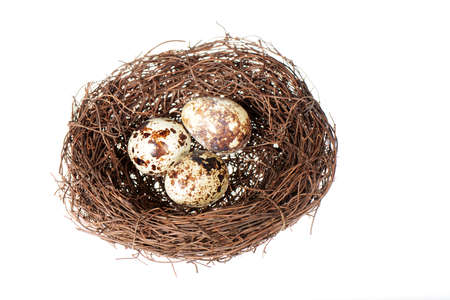 Bird's nest with three quail eggs inside isolated on a white backgroundの写真素材
