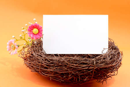 Nest with a blank white card on an orange backgroundの写真素材